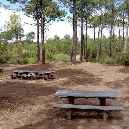 Resid'azur T2-pmr- Piscine Privee Apartment Saint-Jean-de-Monts