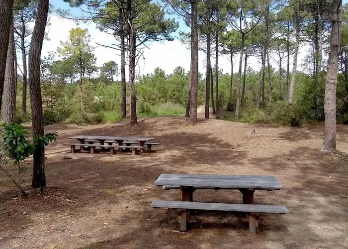 T2 Pmr Piscine Privée 400m De La Apartamento Saint-Jean-de-Monts