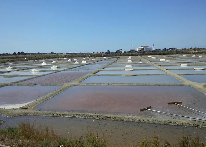 Resid'azur T2-pmr- Piscine Privee Lejlighed *