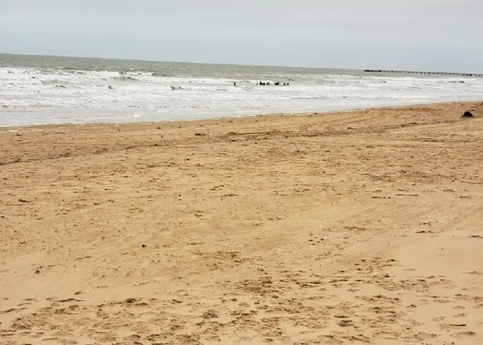 Resid'azur T2-pmr- Piscine Privee